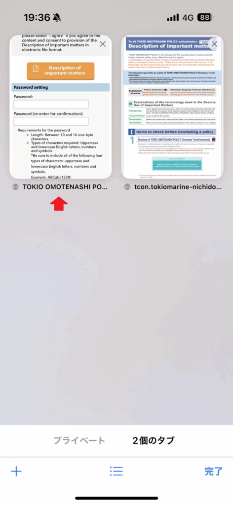 - JAPANESE TRAVEL INSURANCE